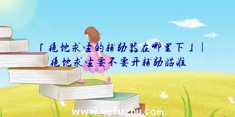 「绝地求生的辅助器在哪里下」|绝地求生要不要开辅助瞄准